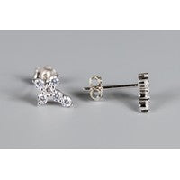 Thomas Silver Earrings